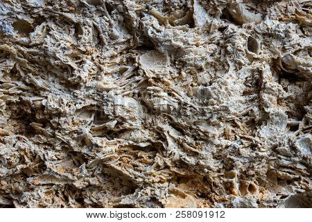 Exquisite Stone Texture With A Nonsmooth Surface Nature Wonders Background