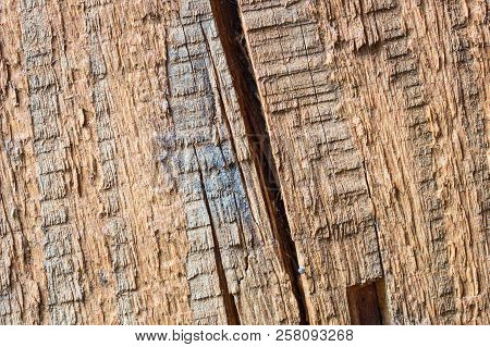Bright Wood Texture With A Nonsmooth Surface Chips And Cracks