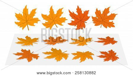 Set Of Maple Leaves. 4 Different Cloud And Heir Options Fallen To The Ground.
