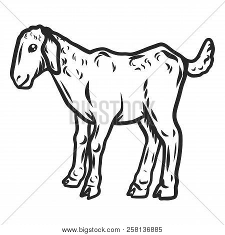 Kid Goat Icon. Hand Drawn Illustration Of Kid Goat Vector Icon For Web Design