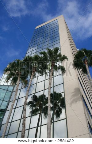 Edificio per uffici in Florida