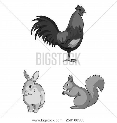 Realistic Animals Monochrome Icons In Set Collection For Design. Wild And Domestic Animals Vector Sy