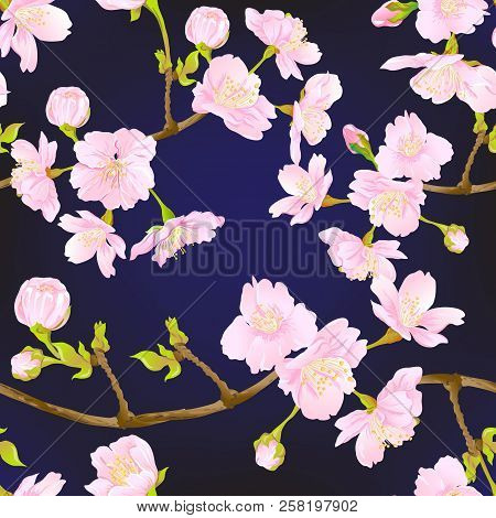 Seamless Pattern, Background With Blooming Cherry Japanese Sakura
