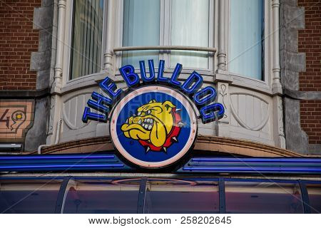The Famous Coffeshop Bulldog In Amsterdam City, Netherlands
