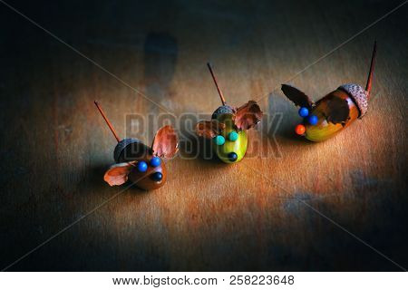 Handmade Mouse Acorn Wooden Sharp Table Day Light