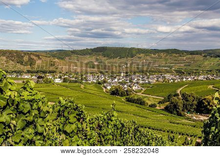 Leiwen On The Moselle Germany Picture Panorama