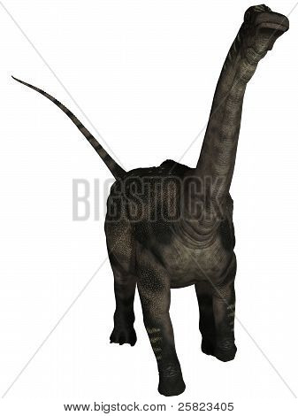 Antarctosaurus - 3D Dinosaur
