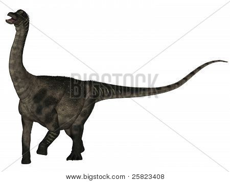 Antarctosaurus - 3D Dinosaur