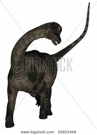 Antarctosaurus - 3D Dinosaur