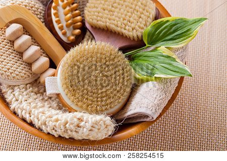 brushes for dry body massage