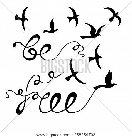 Be Free. Inspirational Quote About Freedom. Modern Calligraphy Phrase With Hand Drawn Birds. Letteri