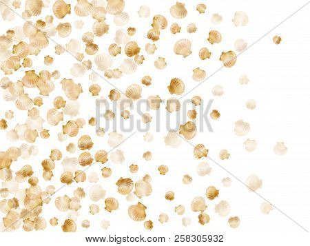 Gold Seashells Vector, Golden Pearl Bivalved Mollusks. Sea Scallop, Bivalve Pearl Shell, Marine Moll