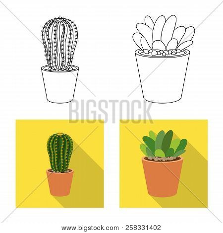 Vector Illustration Of Cactus And Pot Icon. Set Of Cactus And Cacti Vector Icon For Stock.