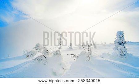 Winter landscape of trees covered with sbow on the mountain hill. Snowfall in mountains