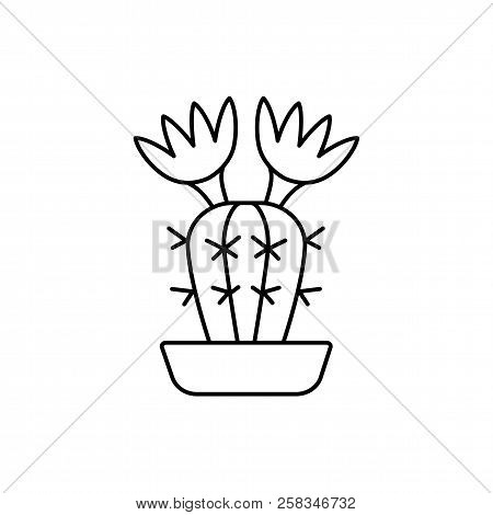Vector Illustration Of Blooming Notocactus In The Pot. Desert Plant For Terrarium And Rock Garden. L