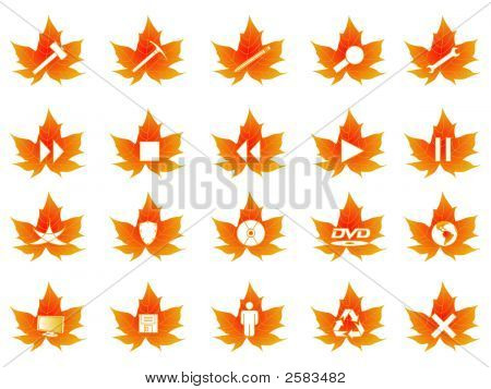 Maplebutton