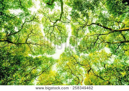 The Gap Between Branch And Branch Like Gap Between You And Me