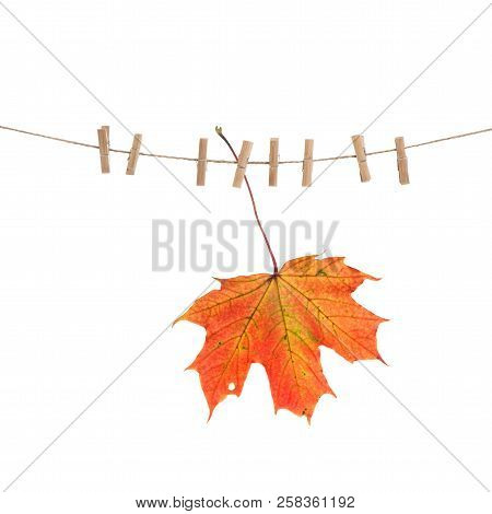 Autumn Red Maple Leaf On Clothes Line With Pegs Isolated Over White Background