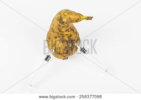 Close-up Boring Trace Of A Codling Moth Cydia Pomonella, In A Wormy Pear. On White Background. With 
