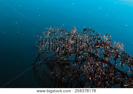 A Picture Taken Of A Pond With A Bridge In It. The Picture Has A Really Nice Shadow And Teal And Ora
