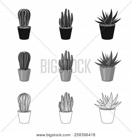 Vector Design Of Cactus And Pot Sign. Set Of Cactus And Cacti Vector Icon For Stock.