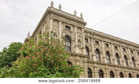 Blooming Chestnut Near A Beautiful Building, Beautiful Building, Cloudy Weather, Young Flowering Tre