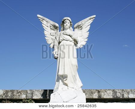 Angelo
