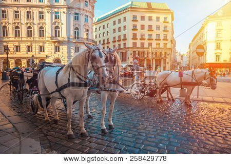 Vienna, Austria - 19.08.2018: Horse-drawn Carriage Or Fiaker, Popular Tourist Attraction, On Michael