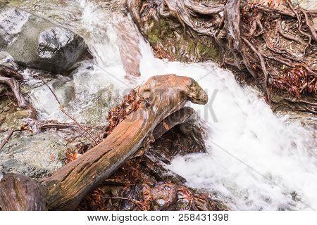 Autumn Waterfall With Rocks And Leaves In Troodos Mountains In Cyprus