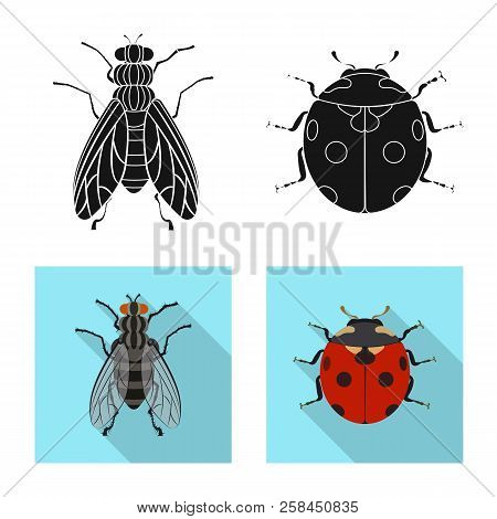 Vector Design Of Insect And Fly Icon. Set Of Insect And Element Stock Symbol For Web.