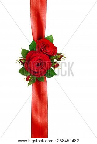 Rer Satin Ribbon And Rose Flowers Arrangement Isolated On White Background