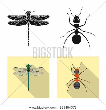 Vector Illustration Of Insect And Fly Icon. Set Of Insect And Element Stock Vector Illustration.