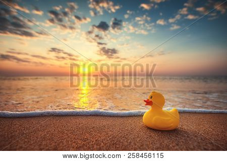 Yellow Rubber Duck Toy On The Beach During Beautiful Sea Sunrise.