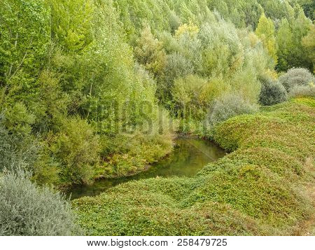 Lush Vegetation On The Banks Of The Esla River - Mansilla De Las Mullas, Castile And Leon, Spain
