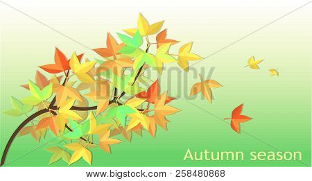 Fallen Leaves Are Colorful Maple Leaves Are Floating With The Wind. With Green Backdrop, Vector Art 