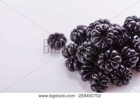 Phytolacca Americana On A White Acrylic Background