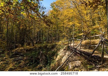 Autumn Landscape With Yellow Trees Near Devil Town In Radan Mountain, Serbia