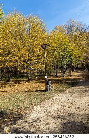 Autumn Landscape With Yellow Trees Near Devil Town In Radan Mountain, Serbia