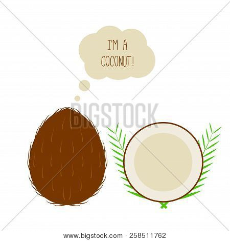 Vector Coconut Whole And Half Cut. Thought Or Think Bubble. Flat Style Illustration Isolated On Whit
