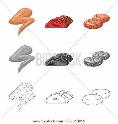Vector Design Of Meat And Ham Icon. Collection Of Meat And Cooking Stock Symbol For Web.
