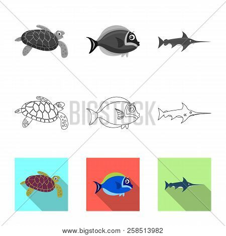 Isolated Object Of Sea And Animal Sign. Set Of Sea And Marine Vector Icon For Stock.