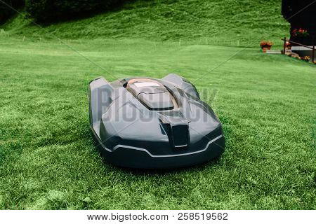 Robotic Lawn Mower On Grass, Switzerland, Europe