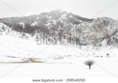 Winter In The Natural Park Of Gorbea