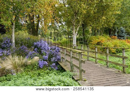 Bressingham Gardens - West Of Diss In Norfolk, England - United Kingdom - Photo Taken  October 7 201