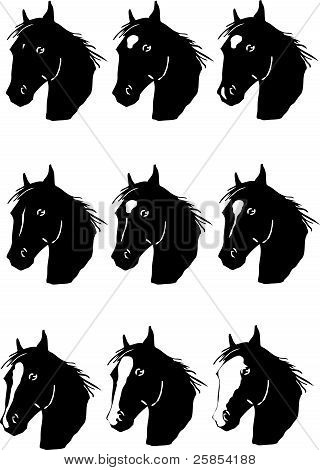 Marques faciales cheval