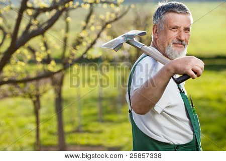 Ritratto di un uomo anziano giardinaggio nel suo giardino (immagine a colori dai toni)