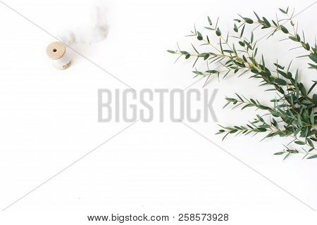 Creative Composition Made Of Green Eucalyptus Parvifolia Branches, Silk Ribbon And Wooden Spool On W