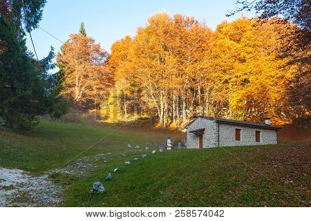 Autumn Mountain Landscape. Grappa Mountain, Italian Alps