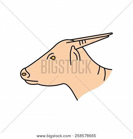 Anoa Icon. Cartoon Anoa Vector Icon For Web Design Isolated On White Background