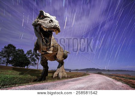 Graphic Design Dinosaurs Model With Falling Star In The Night Sky Background
